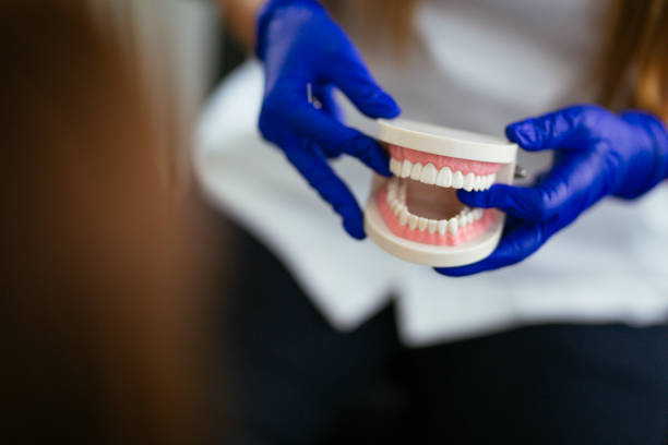  Gregory, SD Holistic Dental Services Pros